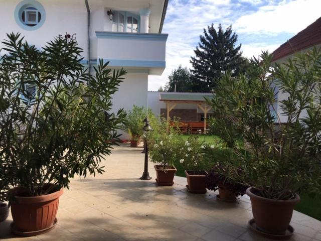 Hotel Csigahaz Panzio Gyula Exterior foto